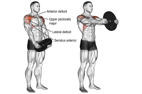 Muscles Worked During Plate Front Raise