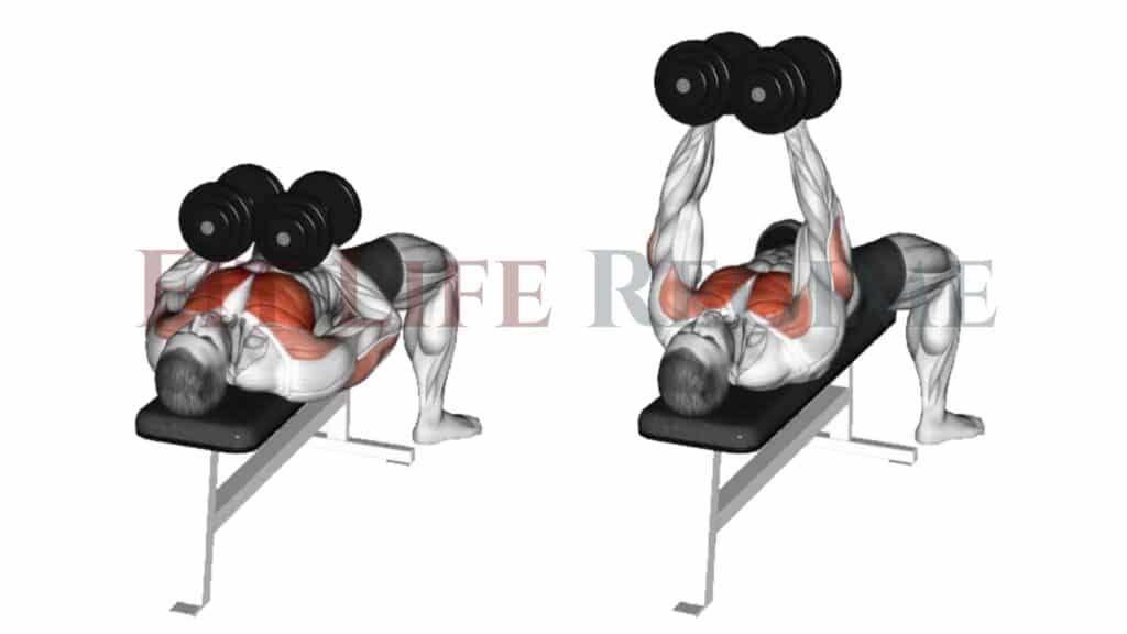 Dumbbell exercise online list