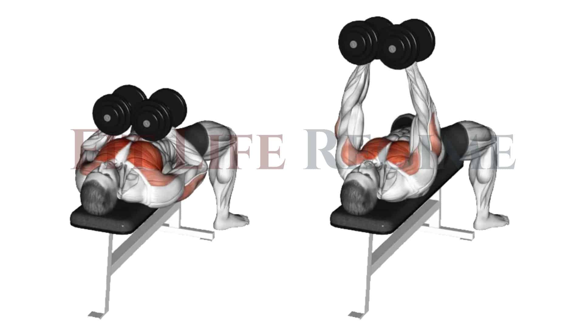 dumbbell squeeze press