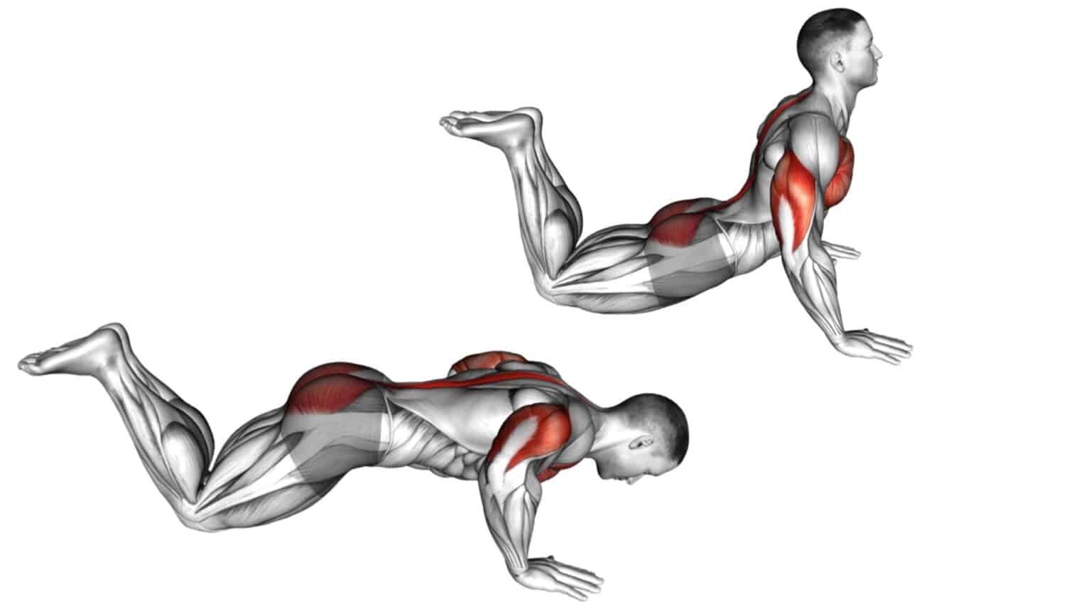 Knee Push-Ups: Muscles Worked, How To Do, Form & Benefits