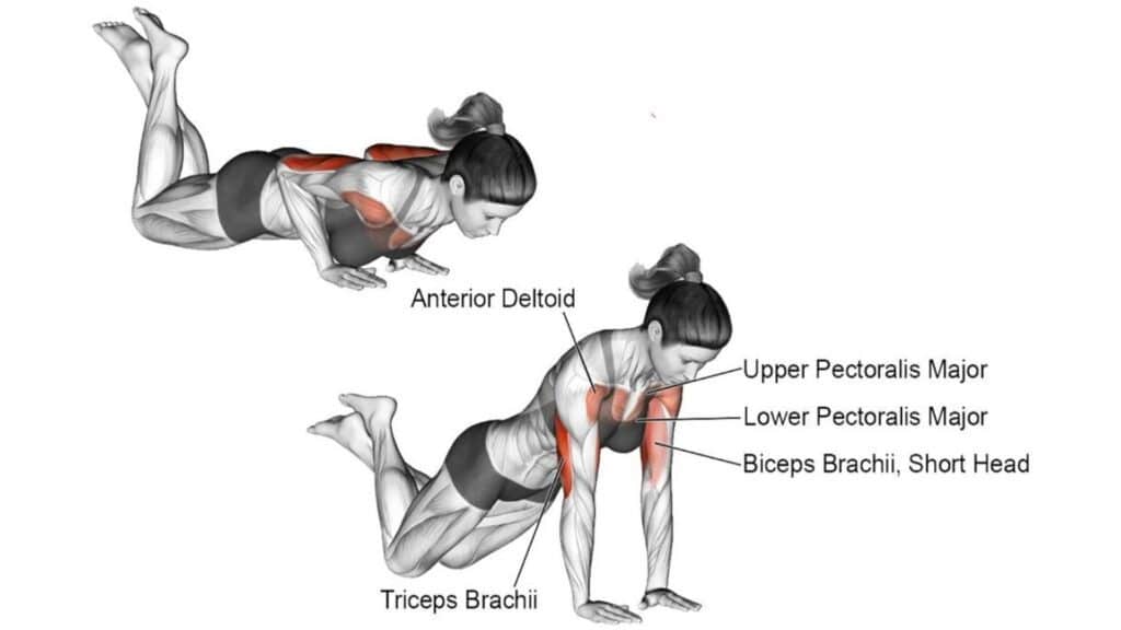 Close grip push ups for online triceps