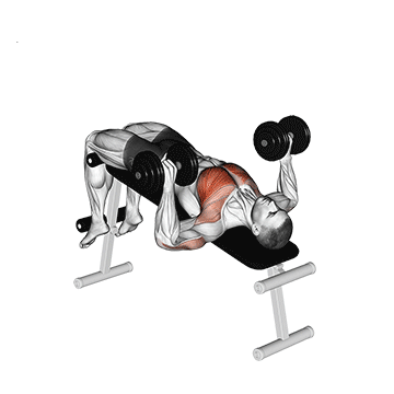 Woman doing single arm dumbbell chest press Vector Image