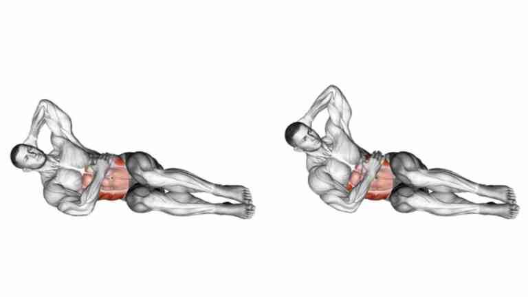 Muscles Worked During Oblique Crunch