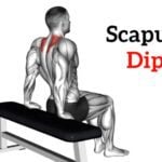 Scapula dips