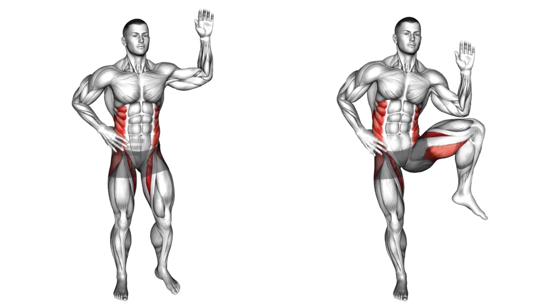 Oblique crunches online standing