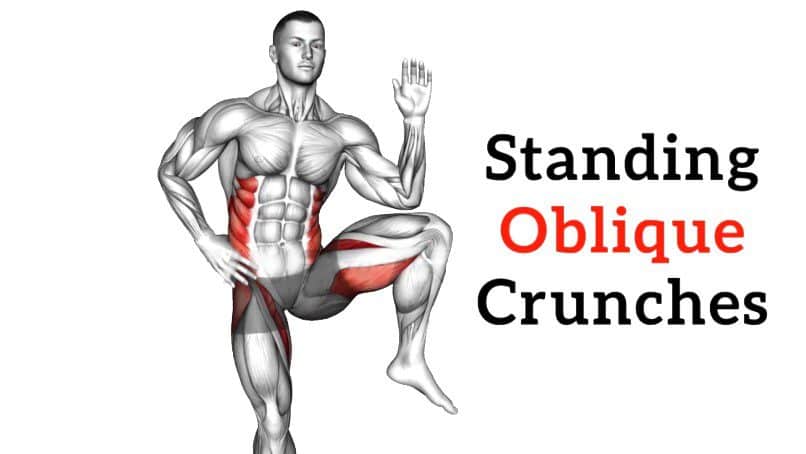 standing oblique crunches exercise