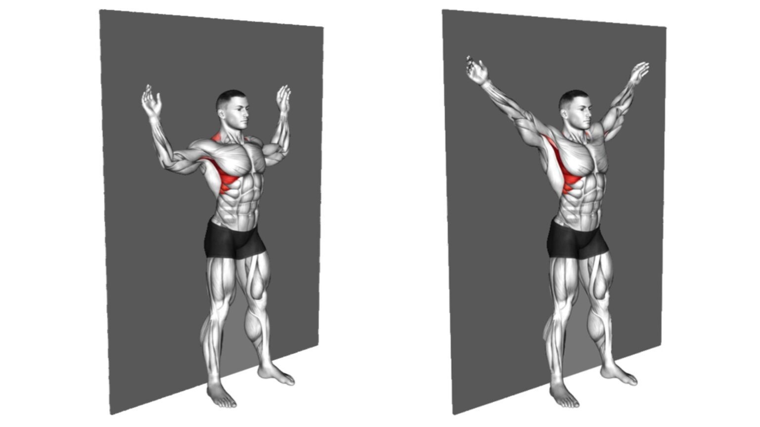 Scapular Wall Slides: Improve Shoulder and Back Mobility