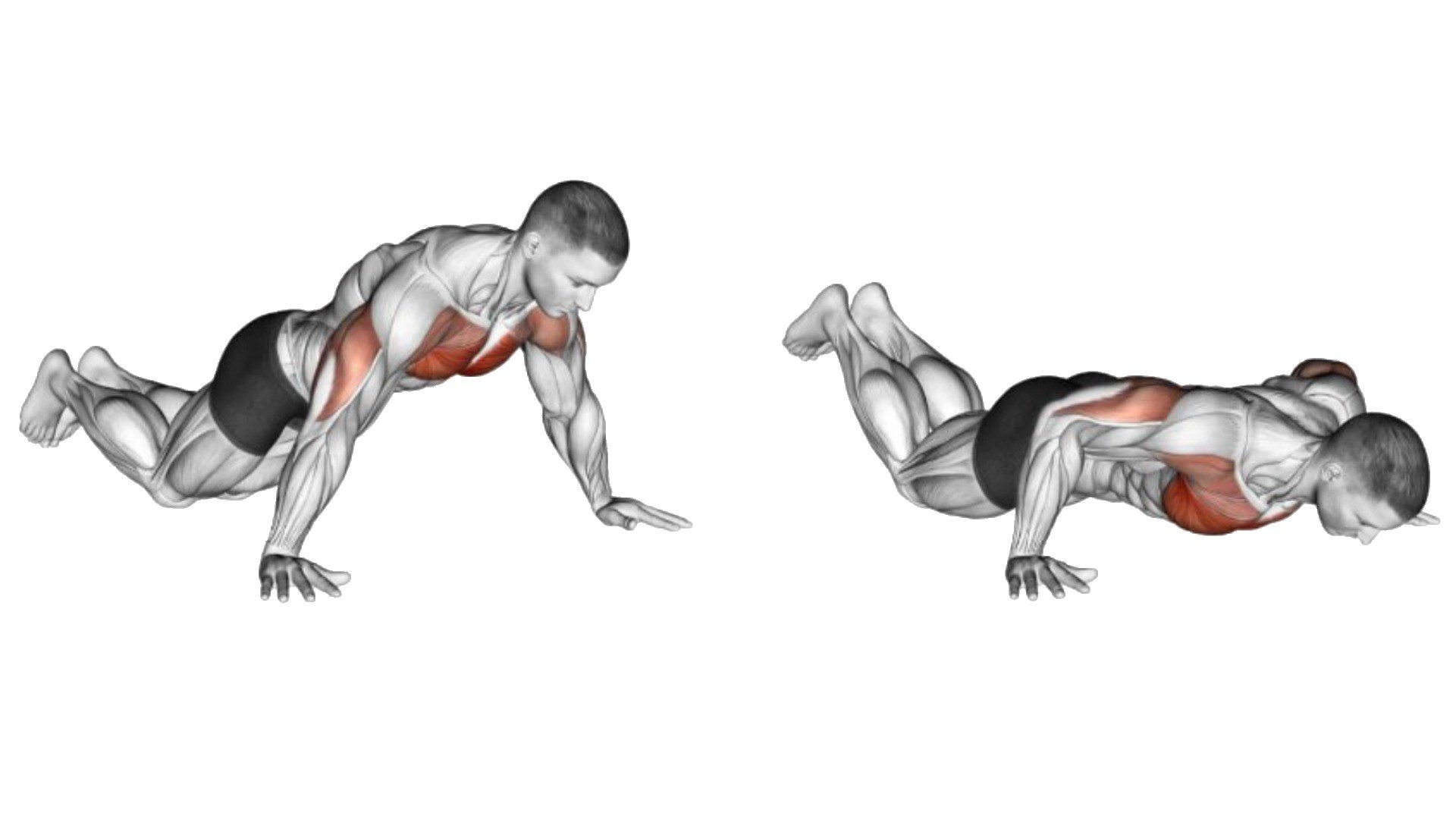 Wide Grip Push Up How To Do Muscles Worked Wide Grip Push Up How To Do Muscles Worked