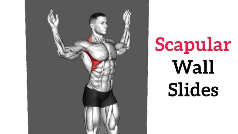 Scapular Wall Slides Improve Shoulder And Back Mobility Scapular Wall Slides Improve Shoulder And Back Mobility