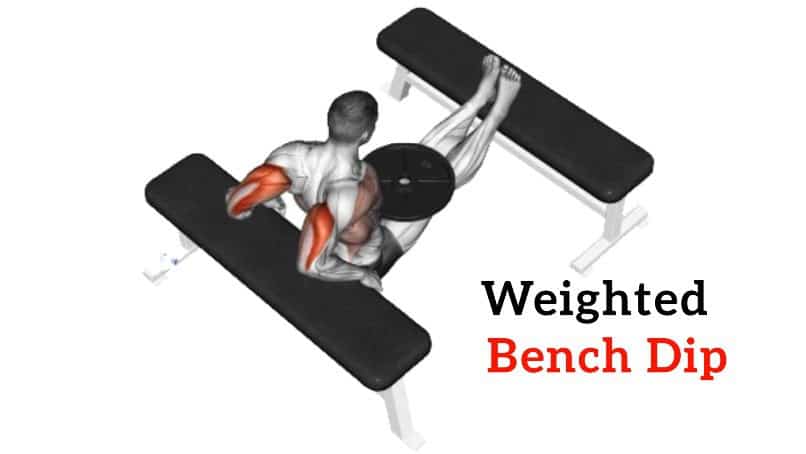 Weight best sale bench dip