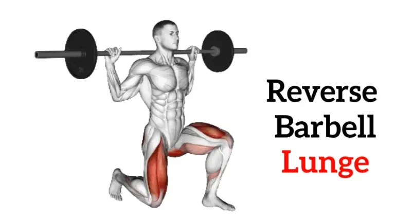 Reverse lunges 2025 muscles worked