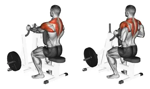 Rowing machine chest outlet muscles