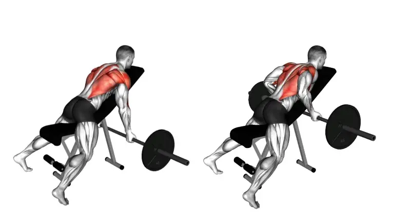 Do Chest Supported Rows With Dumbbell, Barbell, Cable, Machine