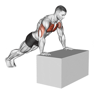Lower Chest With Push Ups