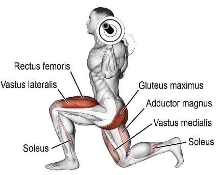 Muscle Worked During Barbell Reverse Lunges