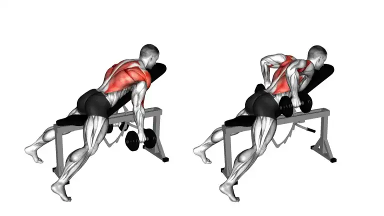 Neutral Grip Dumbbell Chest Supported Row