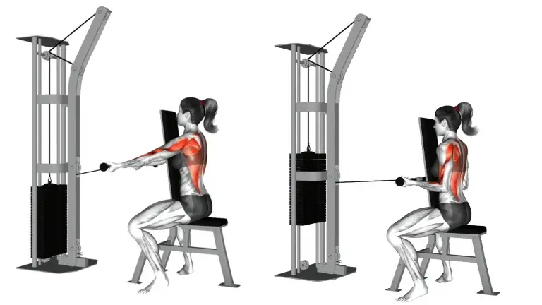 Chest Supported Row