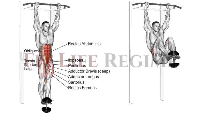 Hanging Knee Raise with Dumbbell