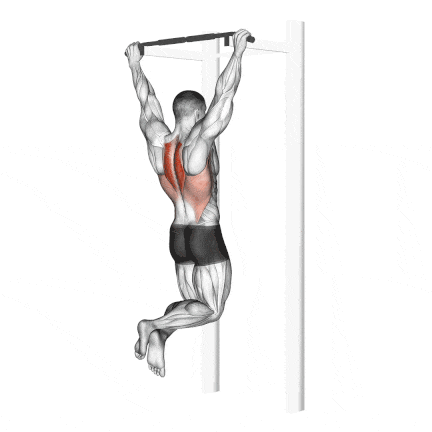 How To Do Scapular Retraction Pull Ups