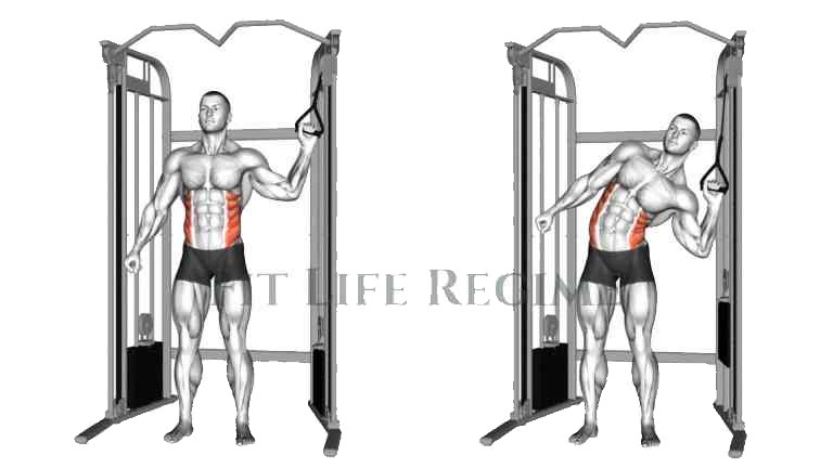 Standing Cable Oblique Crunches