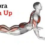 Cobra Push Up
