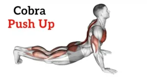 Cobra Push Up