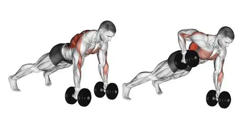 Dumbbell Renegade Row