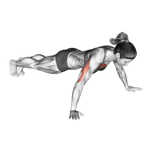 Wide Grip Push-Up