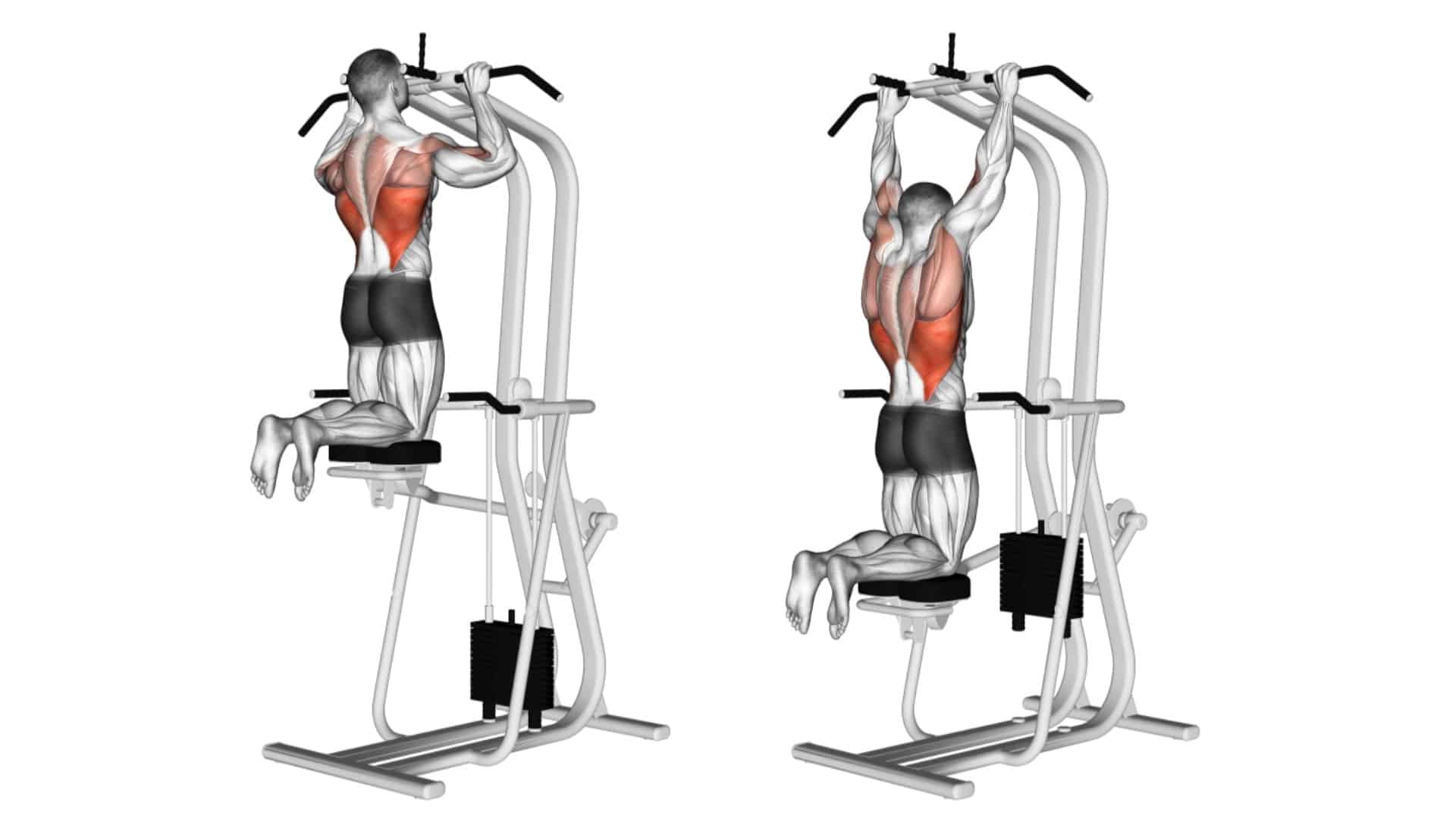 25 Different Types Of Pull Ups and Chin Ups (Variations)