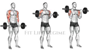 Barbell Drag Curl: How To Do and Muscles Worked