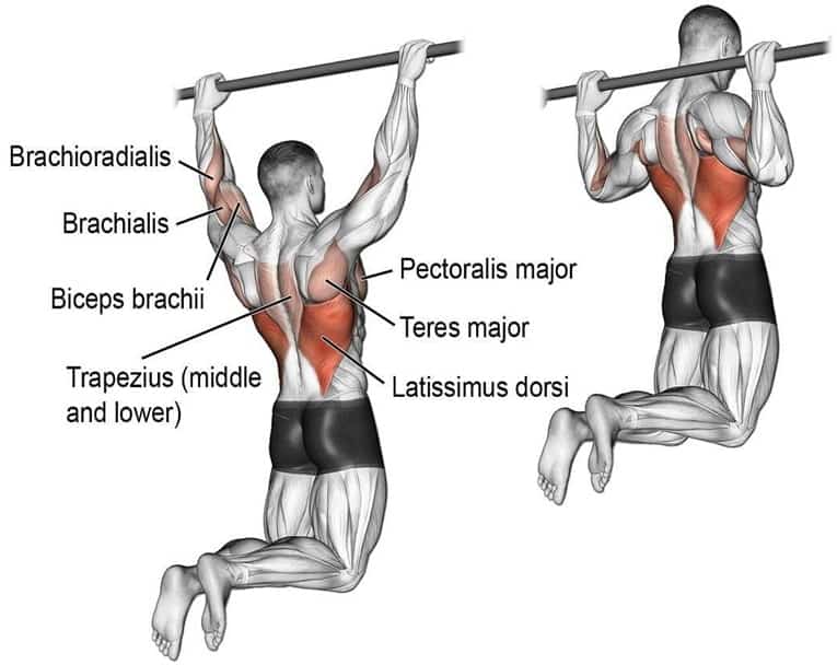 Behind-The-Neck Pull-Ups