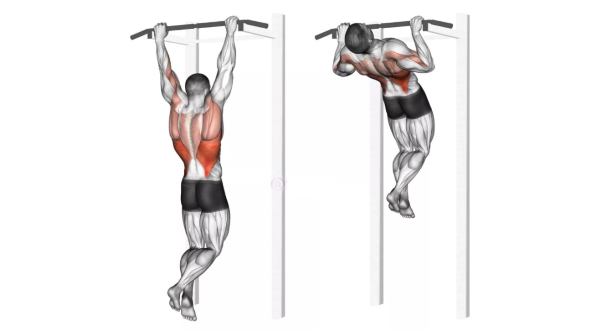 5 Best Pull-Up Bar Chest Exercises