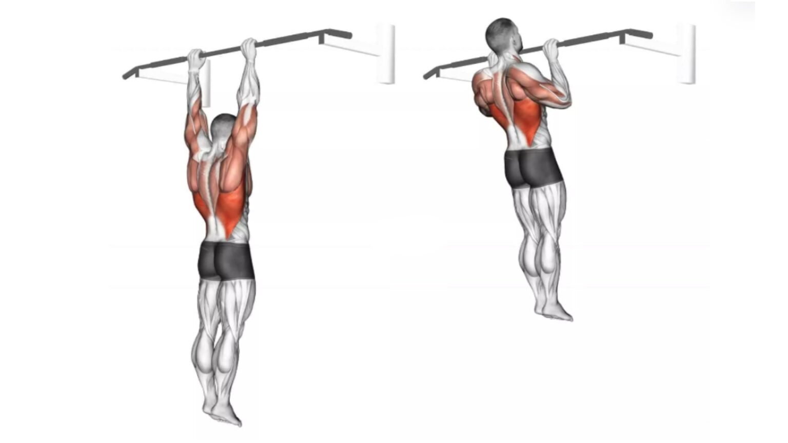 25 Different Types Of Pull Ups and Chin Ups (Variations)