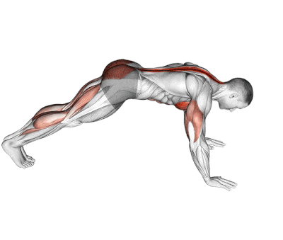 Cobra Push Up: How To Do, Muscles Worked and Benefits