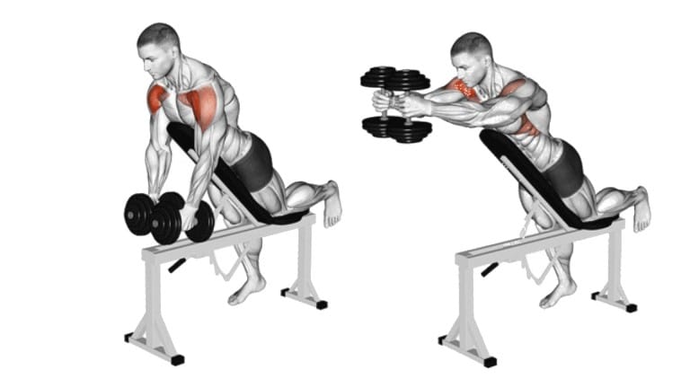 Dumbbell Chest Supported Front Raise