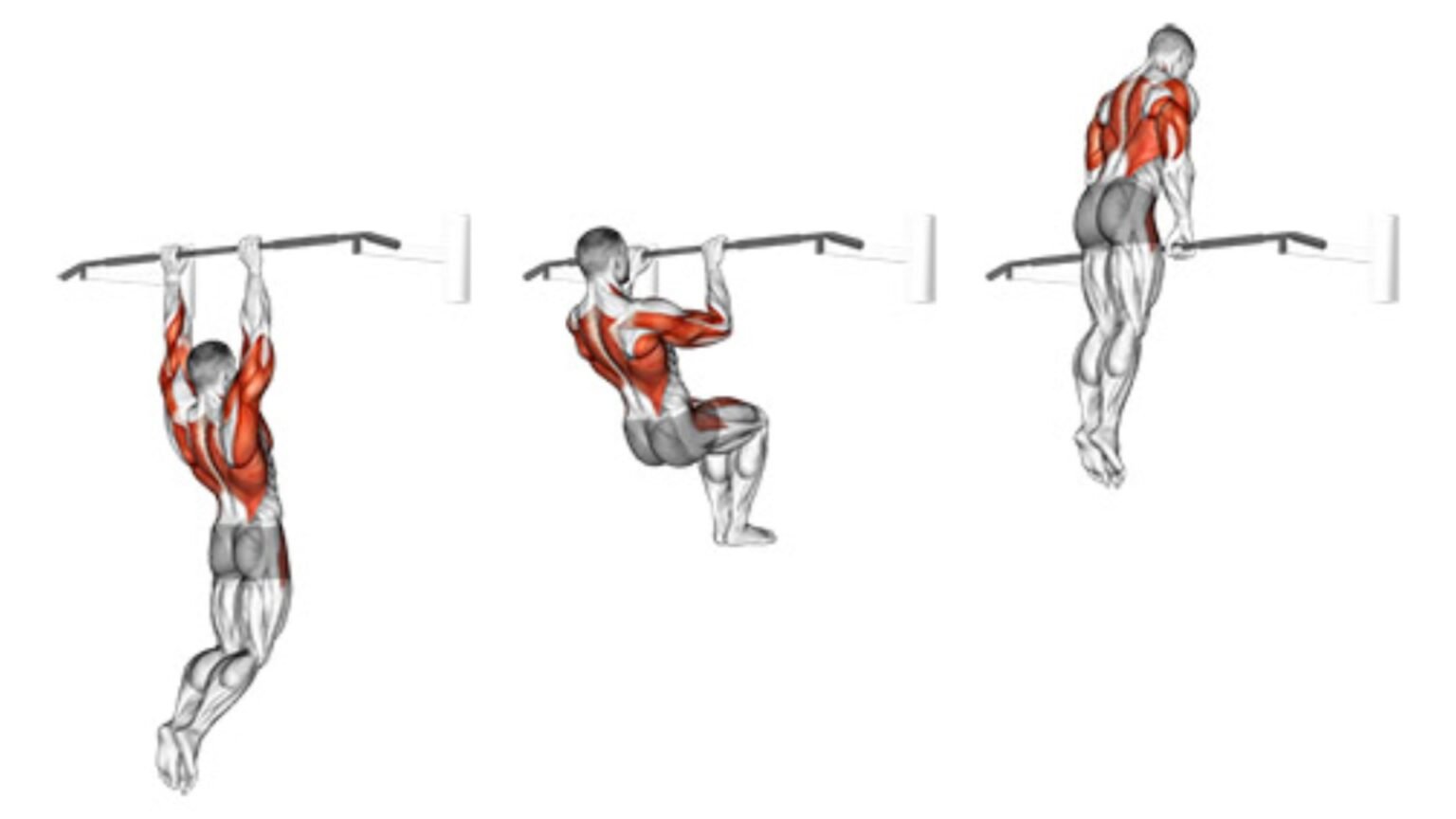 25 Different Types Of Pull Ups and Chin Ups (Variations)