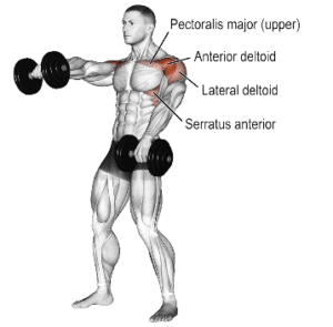 Dumbbell Front Raise: How To Do, Muscles Worked And Variations