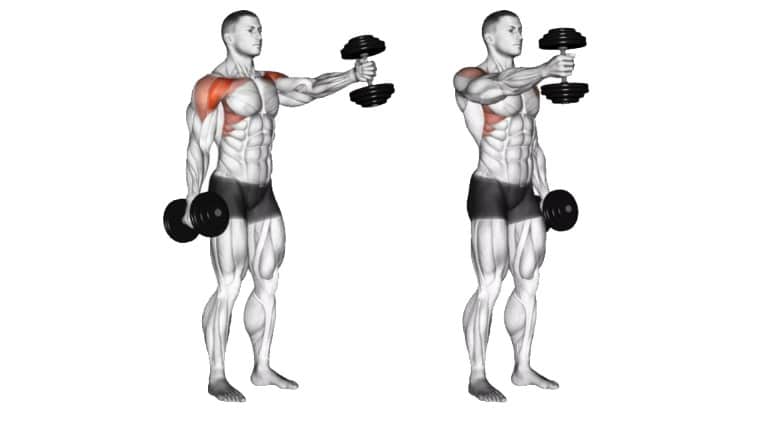 Dumbbell Front Raise How To Do Muscle Worked And Benefits Dumbbell Front Raise How To Do Muscle Worked And Benefits