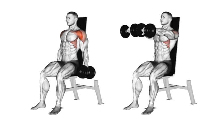 Seated Dumbbell Front Raise