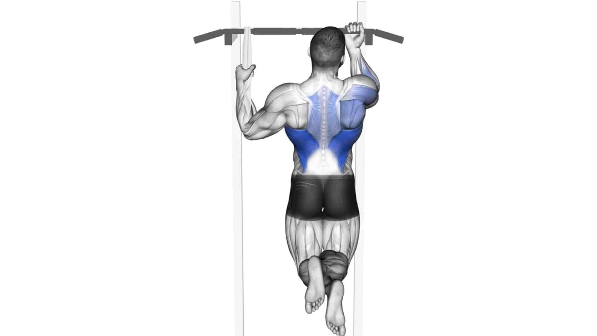 25-different-types-of-pull-ups-and-chin-ups-variations