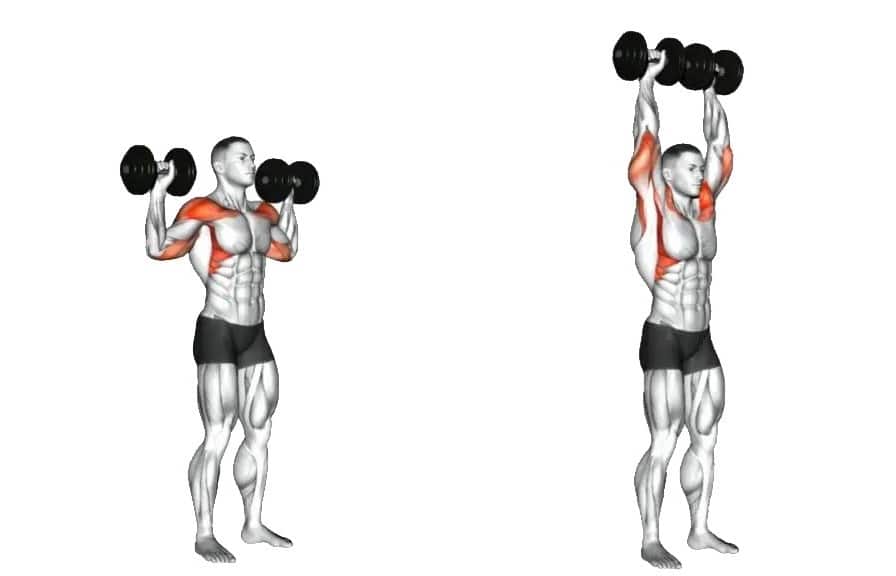 10 Best Dumbbell Shoulder Workouts You Can Do at Home