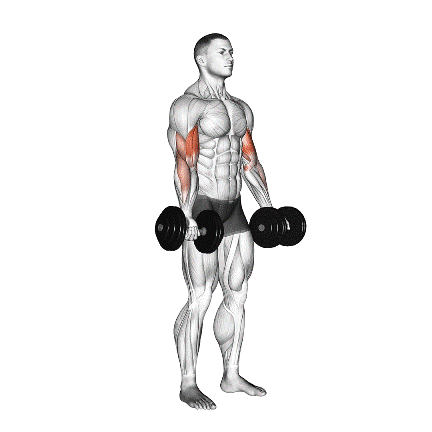 Standing Wall Curl