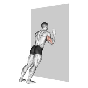 Wall Push-Ups: Benefits, How To Do, Muscles Worked & Form