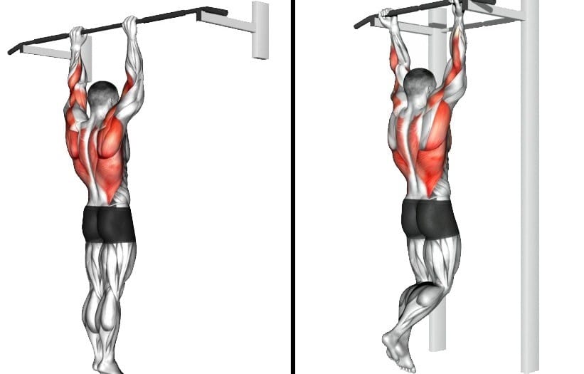 What Is Pull-Ups And Chin-Ups