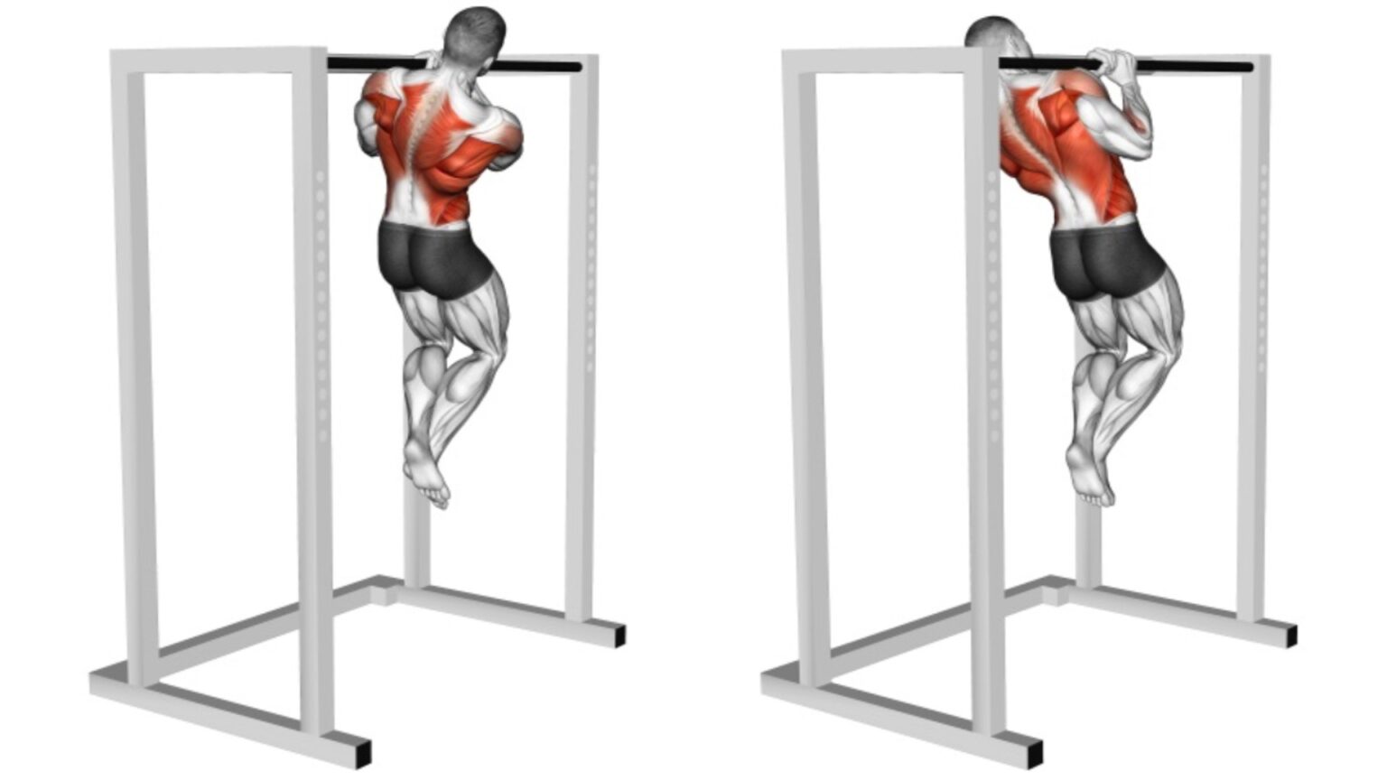 25 Different Types Of Pull Ups and Chin Ups (Variations)