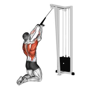 Kneeling High Cable Delt Row