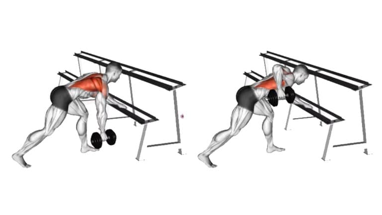 One Arm Dumbbell Row With Rack support
