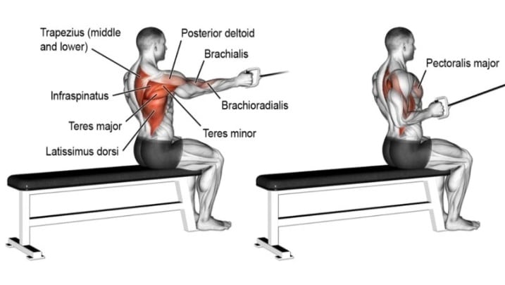Seated one arm cable row
