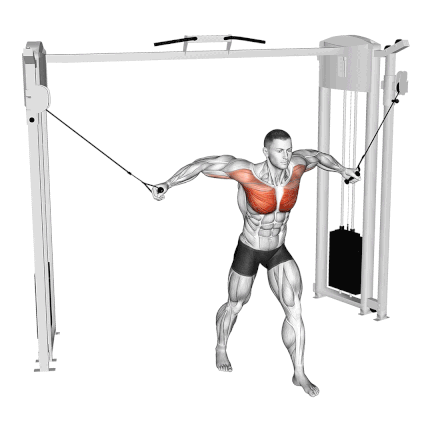 Decline Cable Fly: Muscles Worked and Alternatives