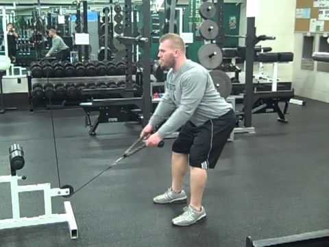 Standing Low Cable Rope Row